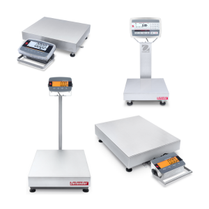 Bench / Floor Scales